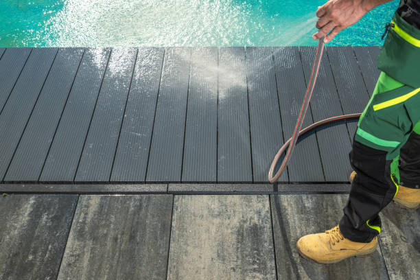 Best Roof Pressure Washing  in Jasper, IN